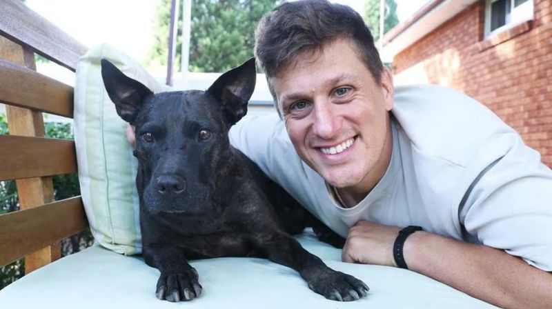 AI-Designed Vaccine Shrinks Tumor in Rescue Dog
